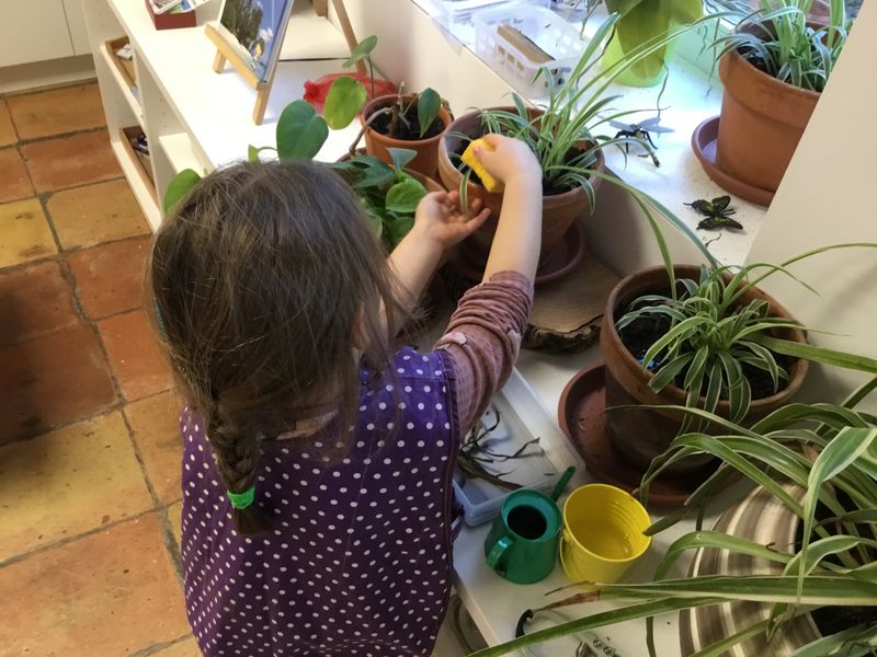 Photo 4 de Ecole et collège Montessori de Gaillac